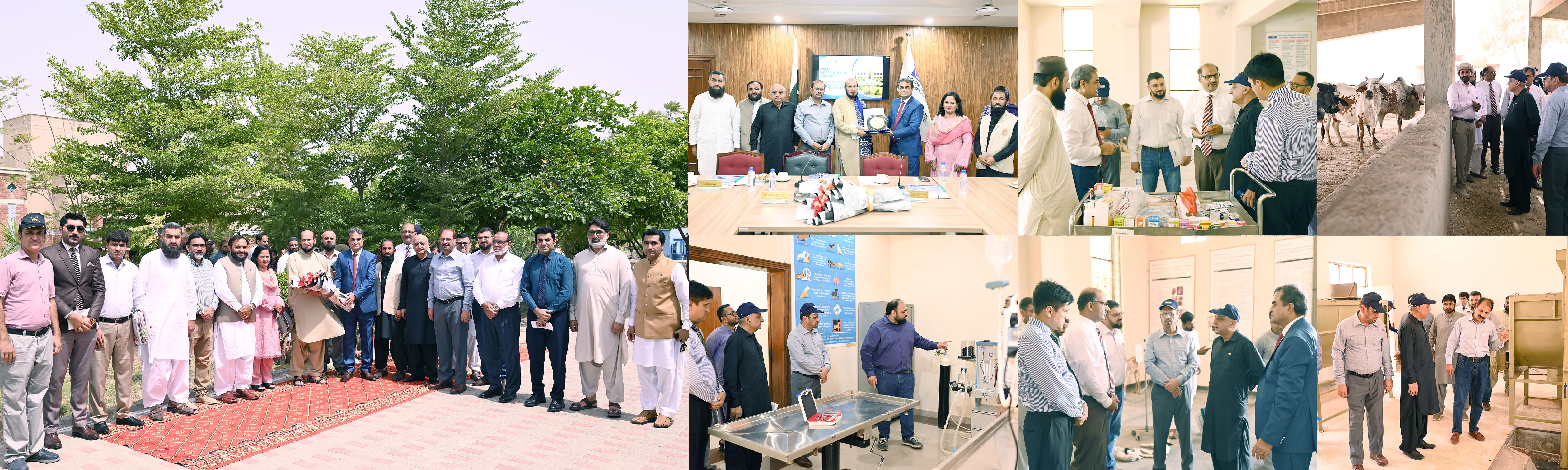 CUVAS